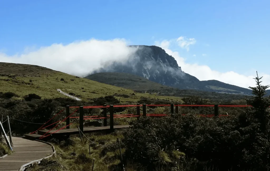 チェジュ島の風景4