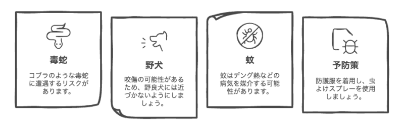 危険動物