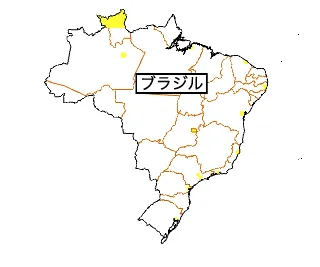 ブラジルの外務省情報
